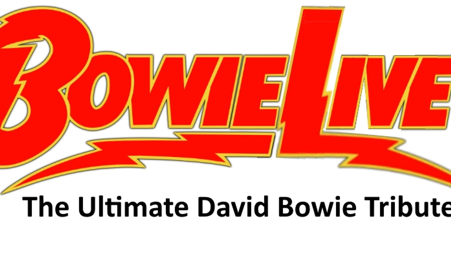BOWIE LIVE-DAVID BOWIE EXPERIENCE